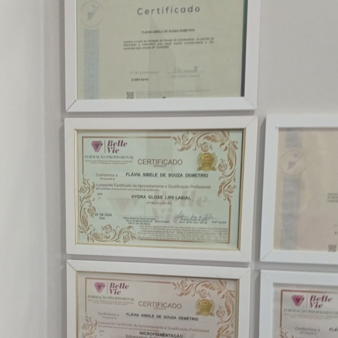 Diploma em Estética - Flávia Demétrio